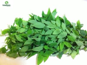 Rau ngót 100gr