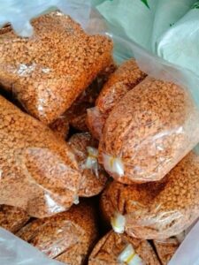 Muối Tây Ninh 500GR 1 bọc