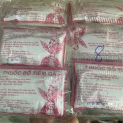 Thuốc bổ gà tiềm