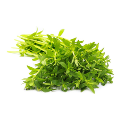 Rau ngổ Rice paddy heẻb 50gr