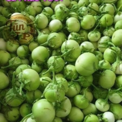 Cà pháo xanh 1 kg