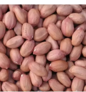 Đậu phộng sống (lạc) 500gr
