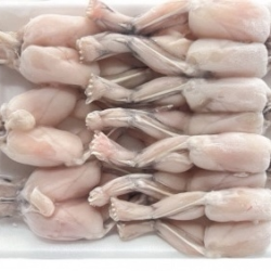 Ếch đùi 500g カエル