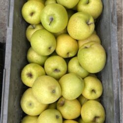 táo fuji vàng 20kg