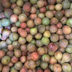 mận hà nội size M