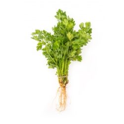 Ngò rí/rau mùi 50gr coriander