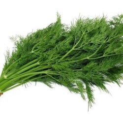 Thì là 50gr