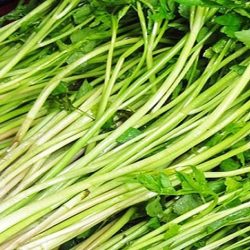 Cần nước 100gr