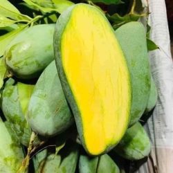 Xoài Thái vỏ xanh