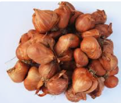 Hành khô (túi)