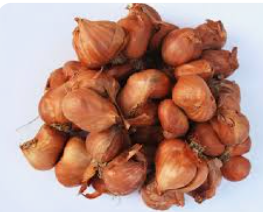 Hành khô (túi)
