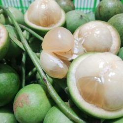 Dâu da xanh