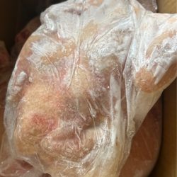 Gà mái dầu ~3kg