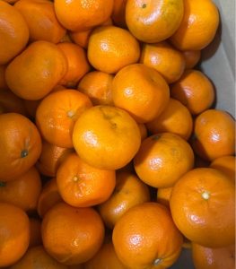 Quýt 1kg