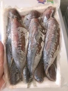 Cá nục 1 nắng 一夜干しマルアジ