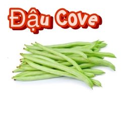 Đậu cove 100gr インゲン豆