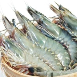 Tôm sú sống 冷凍ブラックタイガー