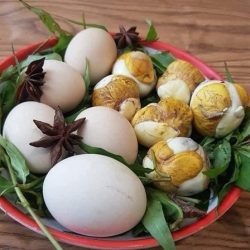 Trứng gà lộn 孵化直前の鶏卵(バロット)