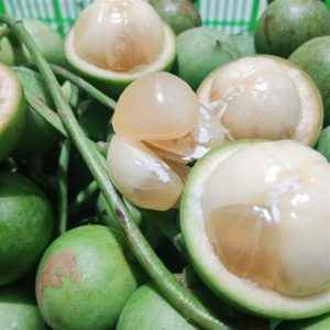 Dâu da xanh ランサット
