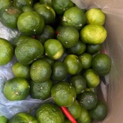 tắc tươi 100gr 生カラマンシー