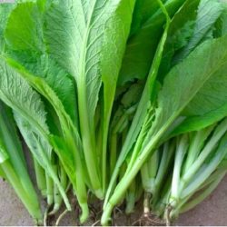 Cải cay 1 kg 高菜