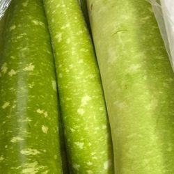 bầu 1kg 夕顔(ユウガオ)