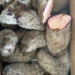 khoai mỡ 100gr 紫山芋