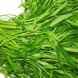 Rau muống 1 kg 空芯菜