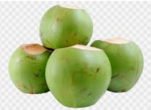 Dừa xanh ジュース用ココナッツ