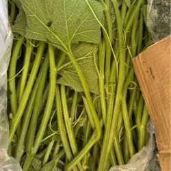 đọt bí かぼちゃのつる先