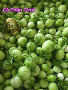 Cà pháo xanh 1 kg 青なす(カーファオ)