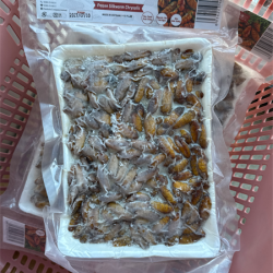 nhộng tằm 冷凍カイコ