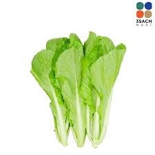 Cải cay 0.5kg 高菜